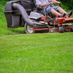 Home-Decor-and-Garden