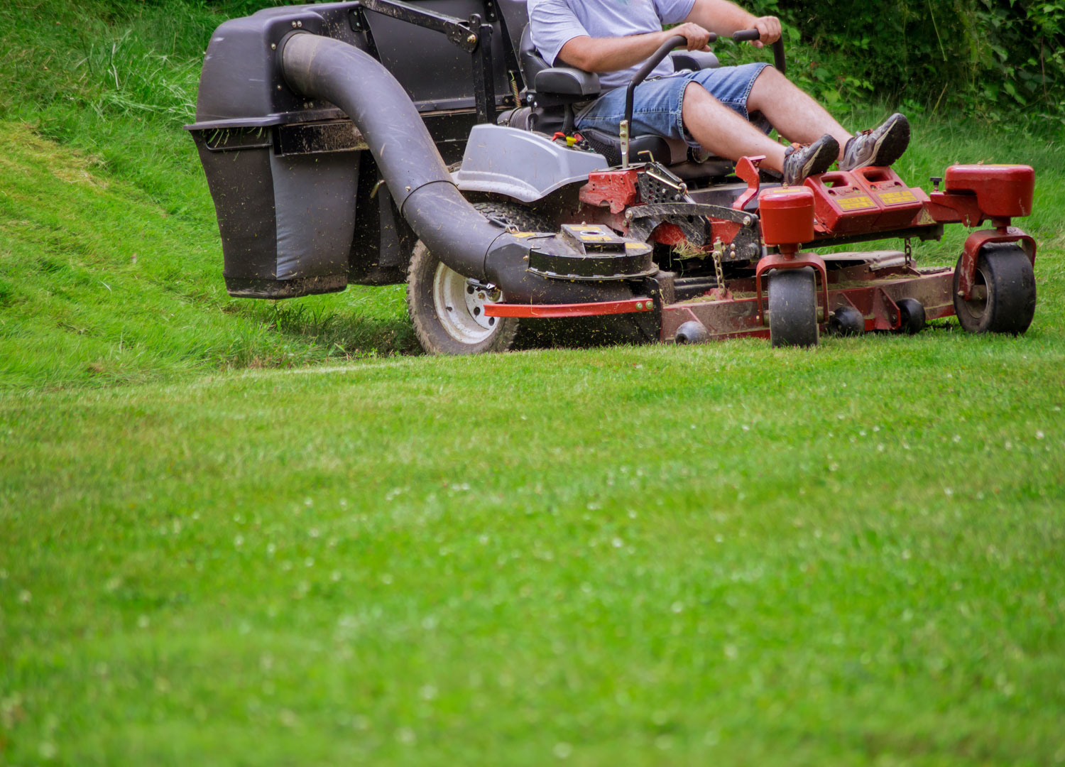 Home-Decor-and-Garden